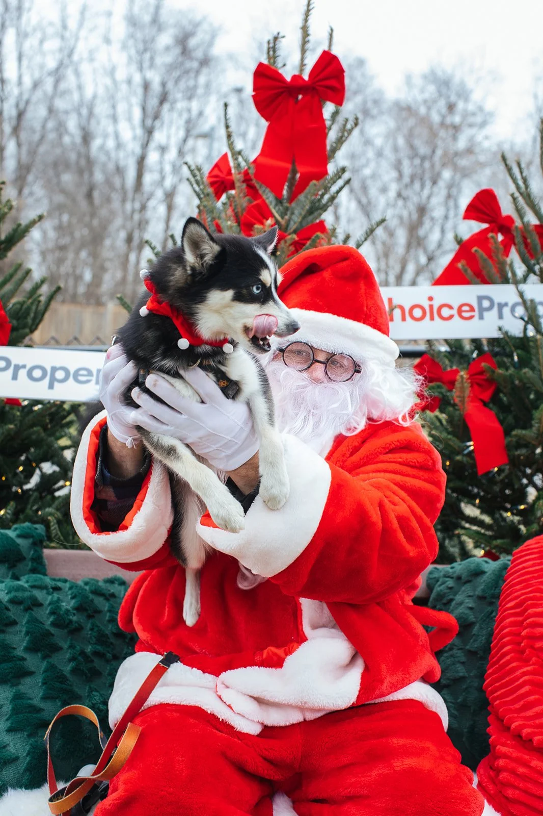 RedwayDogPark-3 copy.jpg