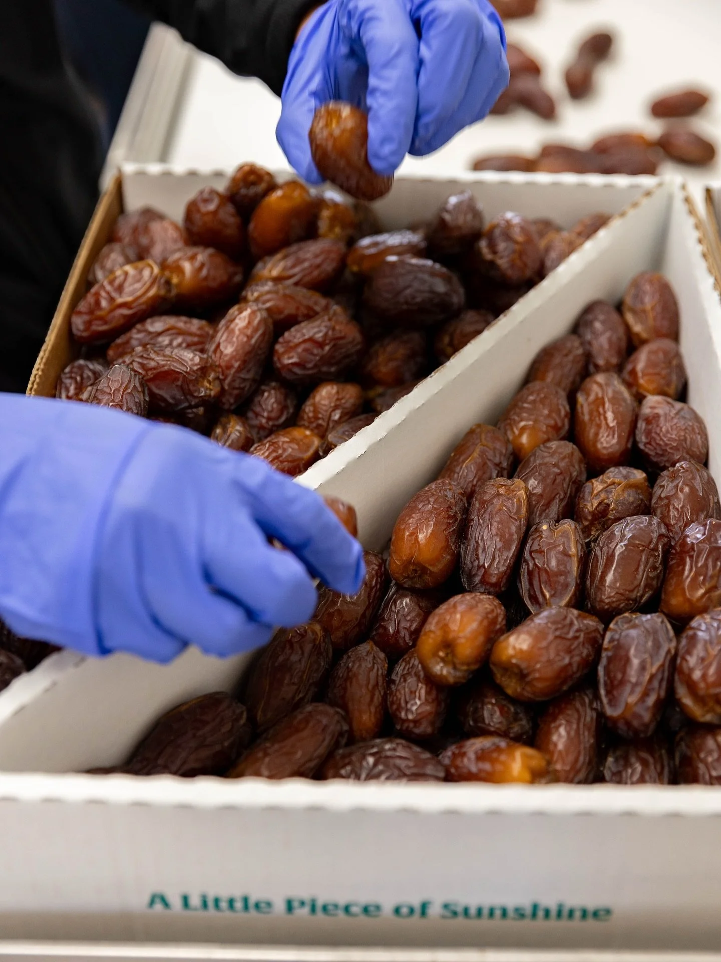 Each box is packed with care—straight from our family farm to your table. Our goal is simple: to deliver the highest-quality organic Medjool dates so you can taste the difference in every bite. 💛
#DesertFruitFarms #OrganicDates #FromOurFarmTo