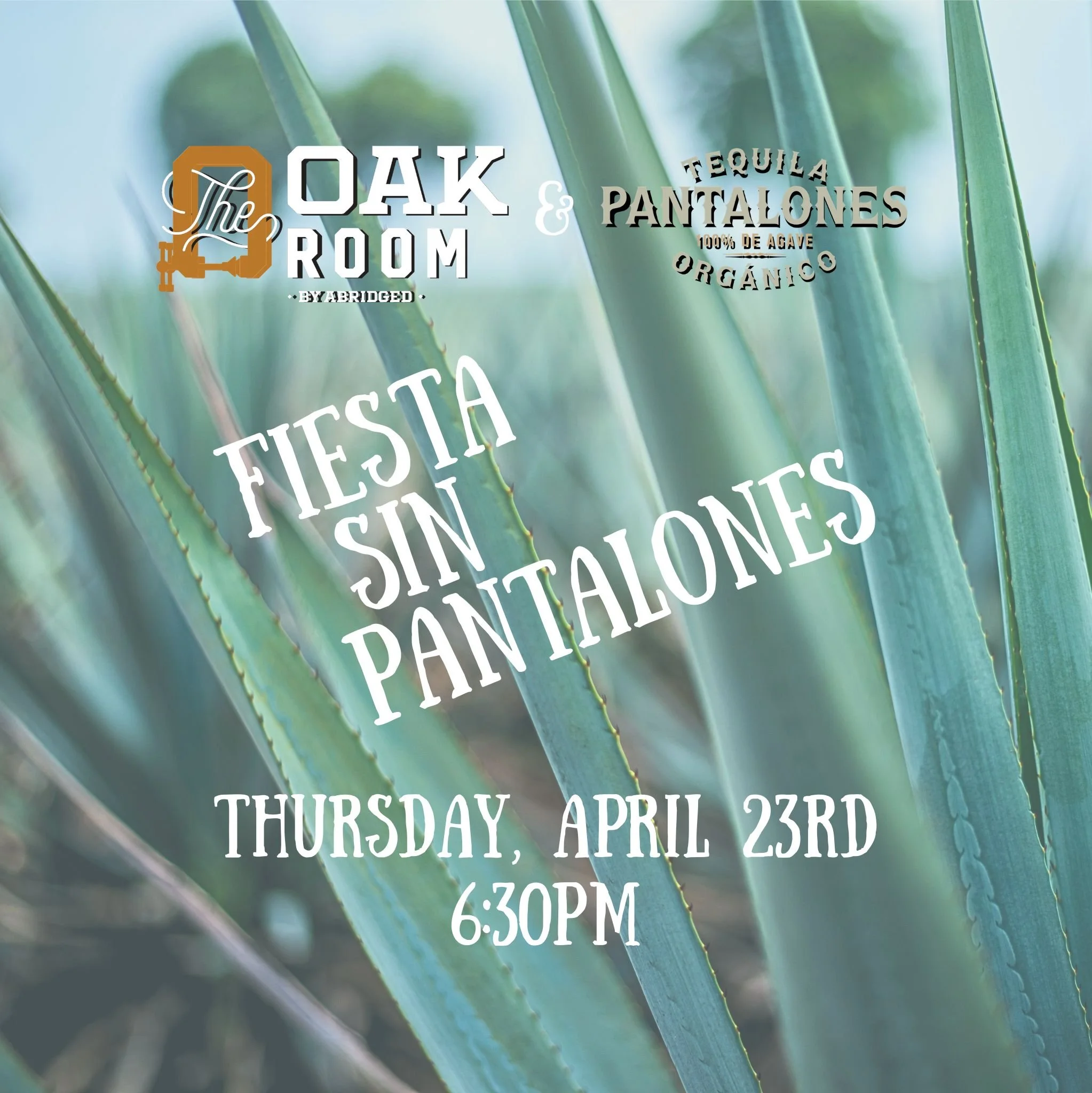Fiesta sin Pantalones! (4/23)