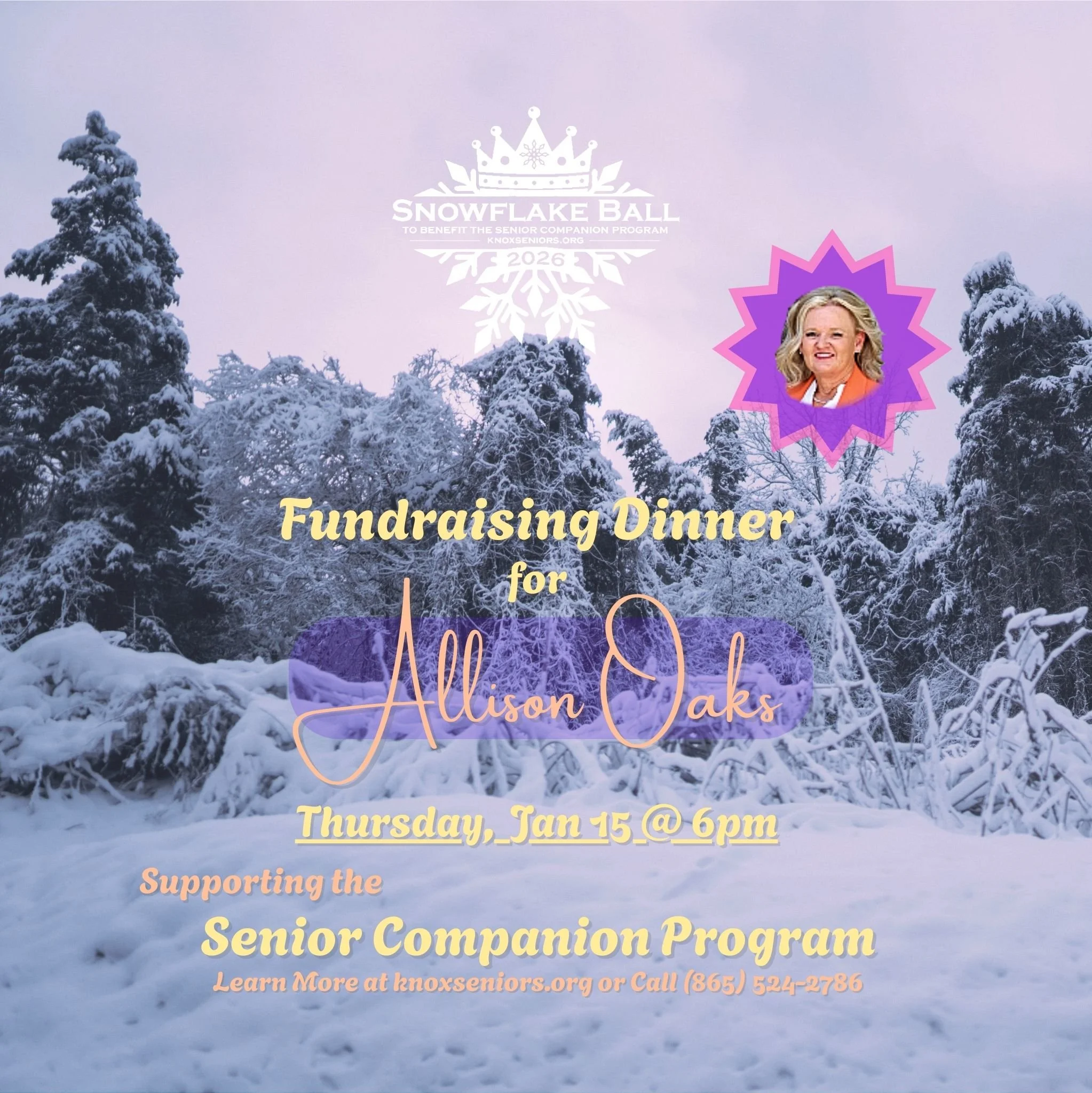 Snowflake Ball THUMBNAIL JAN 2026.jpg