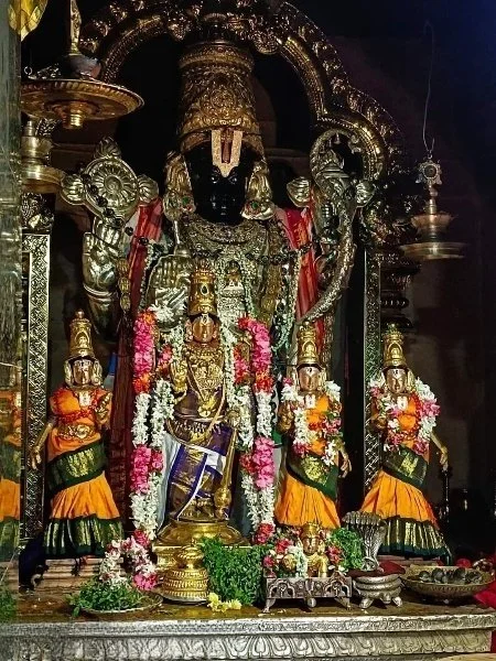 திருச்சேறை சாரநாத பெருமாள் கோவில்