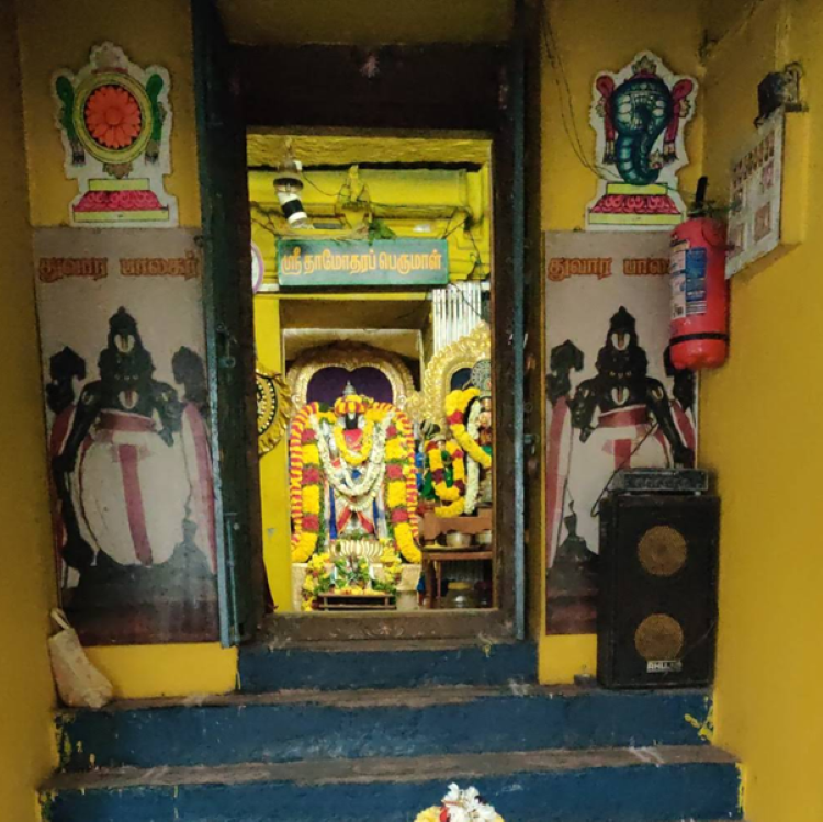 தாமல் தாமோதரப் பெருமாள் கோவில்