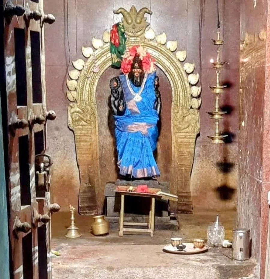 திருப்பயத்தங்குடி திருப்பயற்றுநாதர் கோவில்