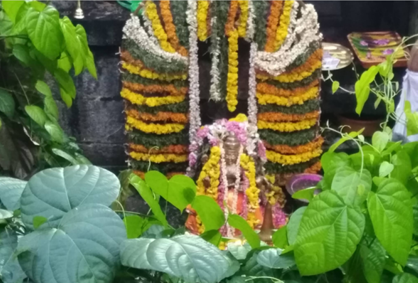 பனச்சிகாடு சரஸ்வதி கோவில்