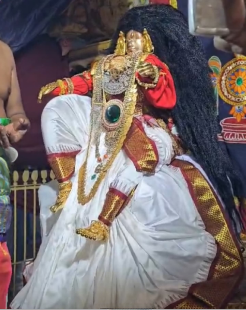 ஸ்ரீவில்லிபுத்தூர் வடபத்ரசாயி கோவில் 