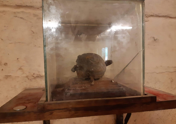 தென்திருப்பேரை கைலாசநாதர் கோவில் 