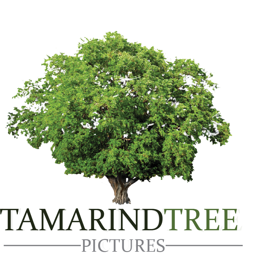 Tamarind Tree Pictures