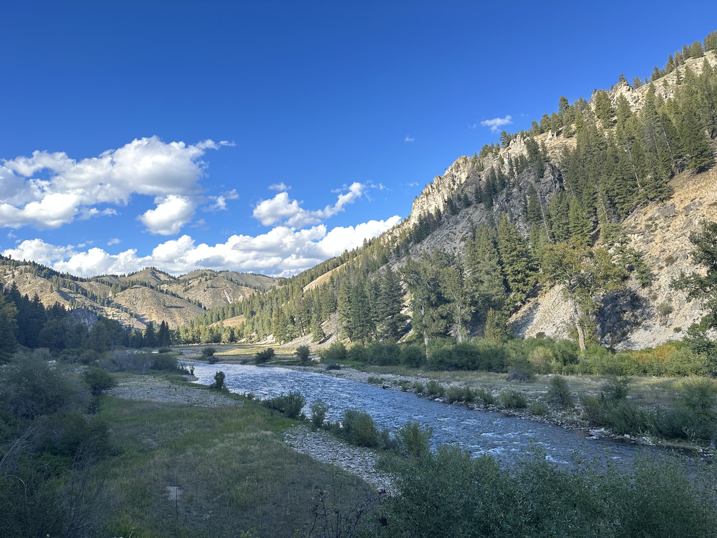 South Fork Boise River heading toward Dollarhide