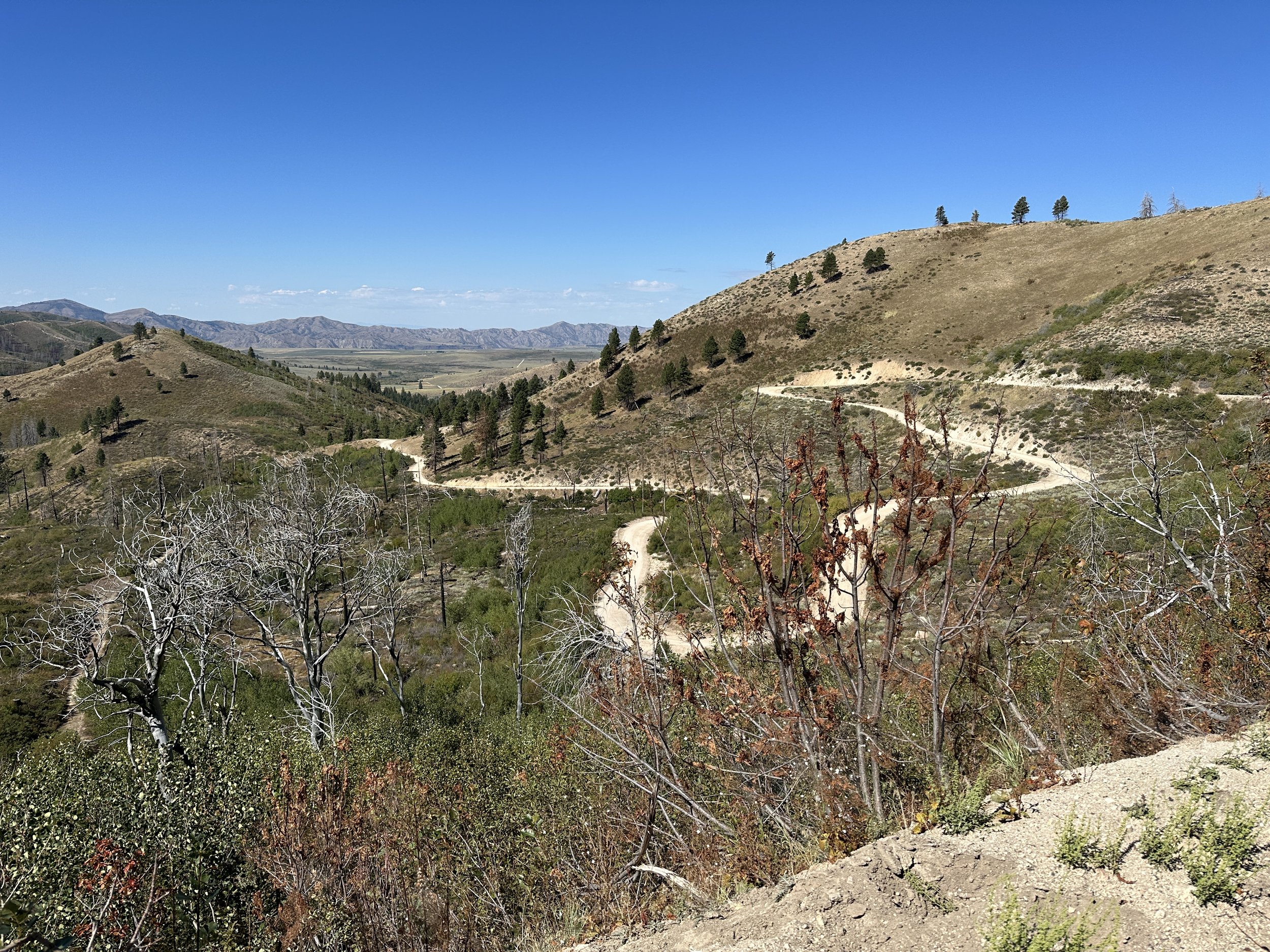 Between Boise and Pine