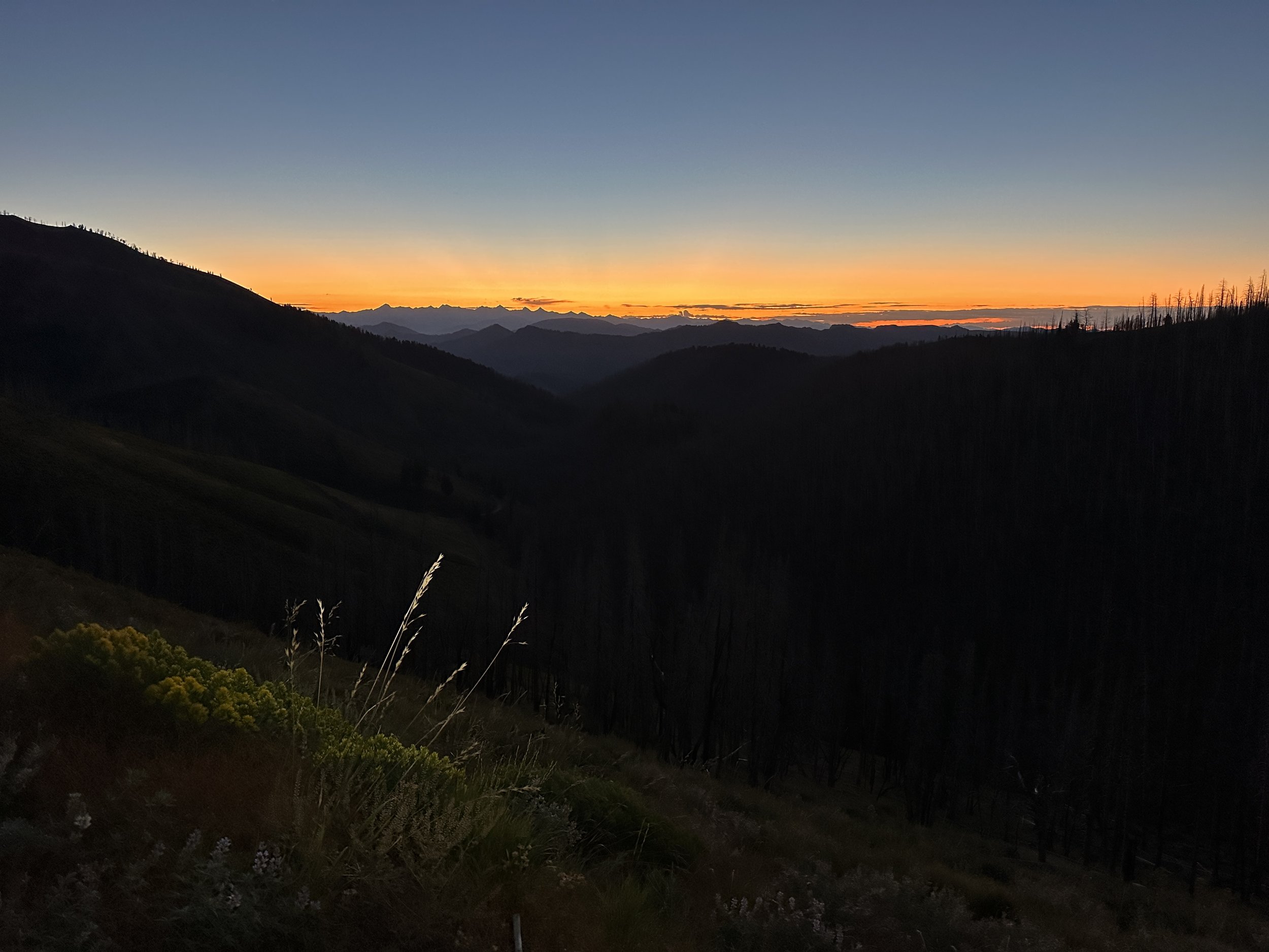 Dawn on Dollarhide Summit