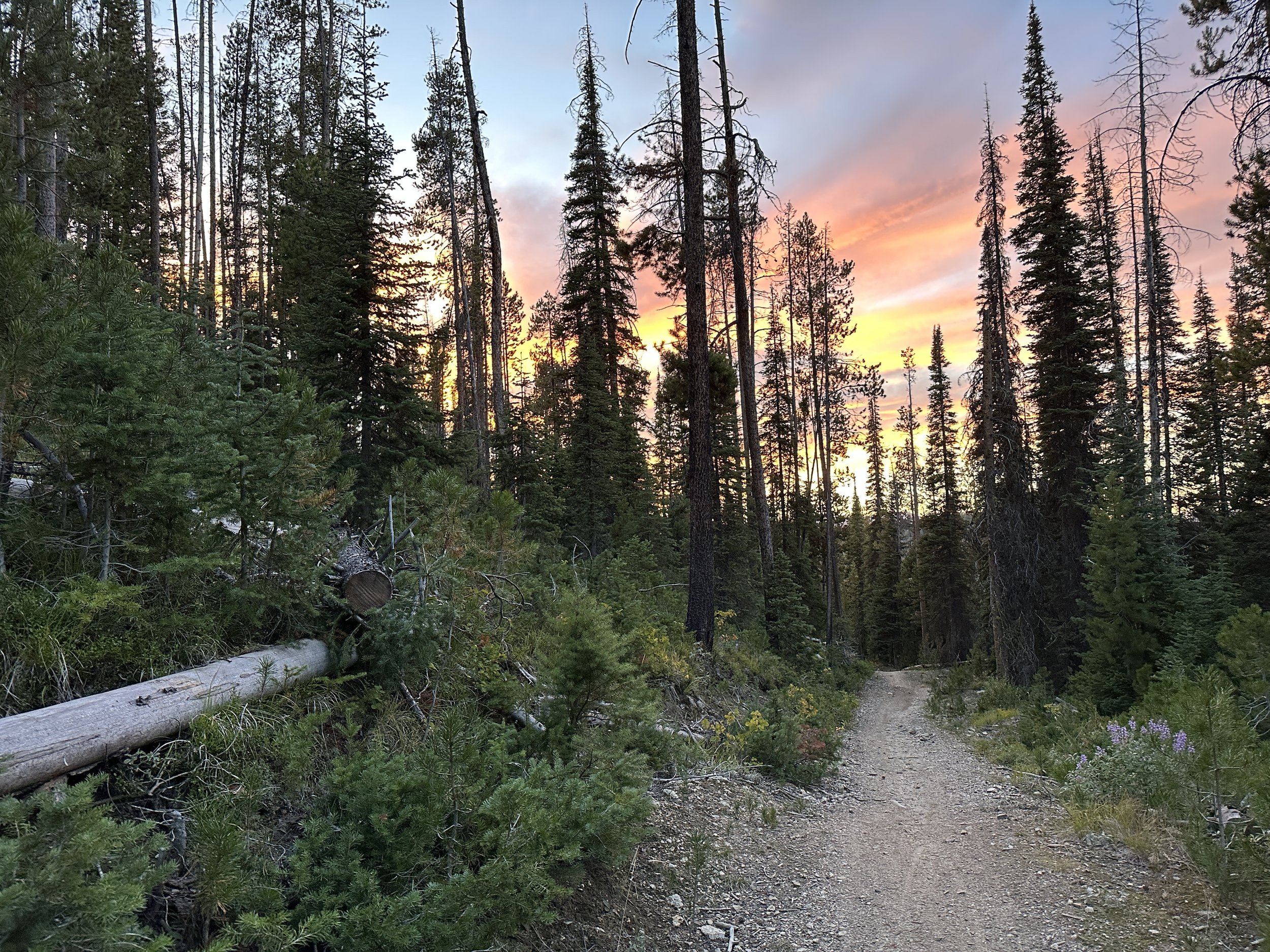 Sunset near Elk Mountain