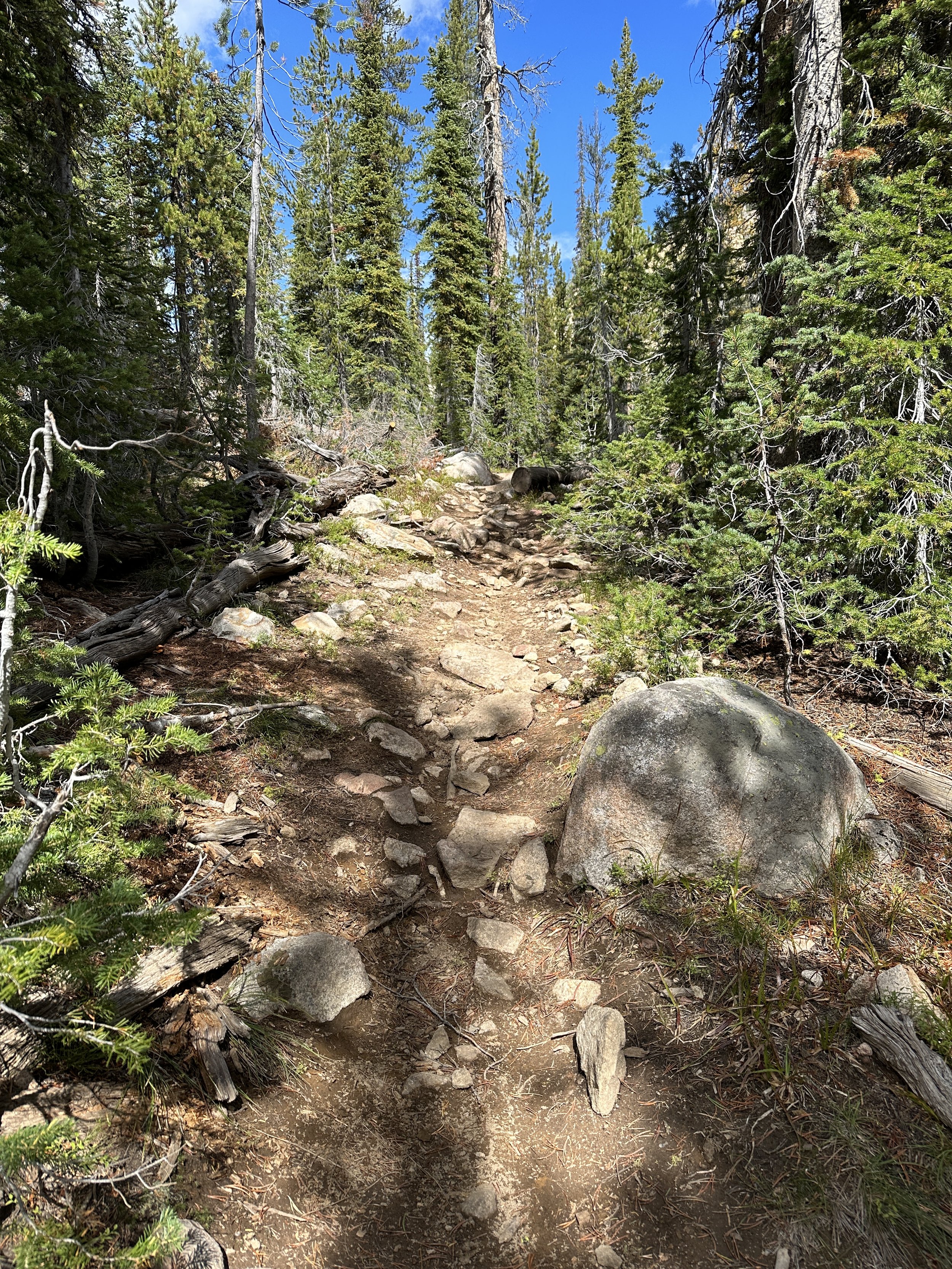 Cape Horn trail