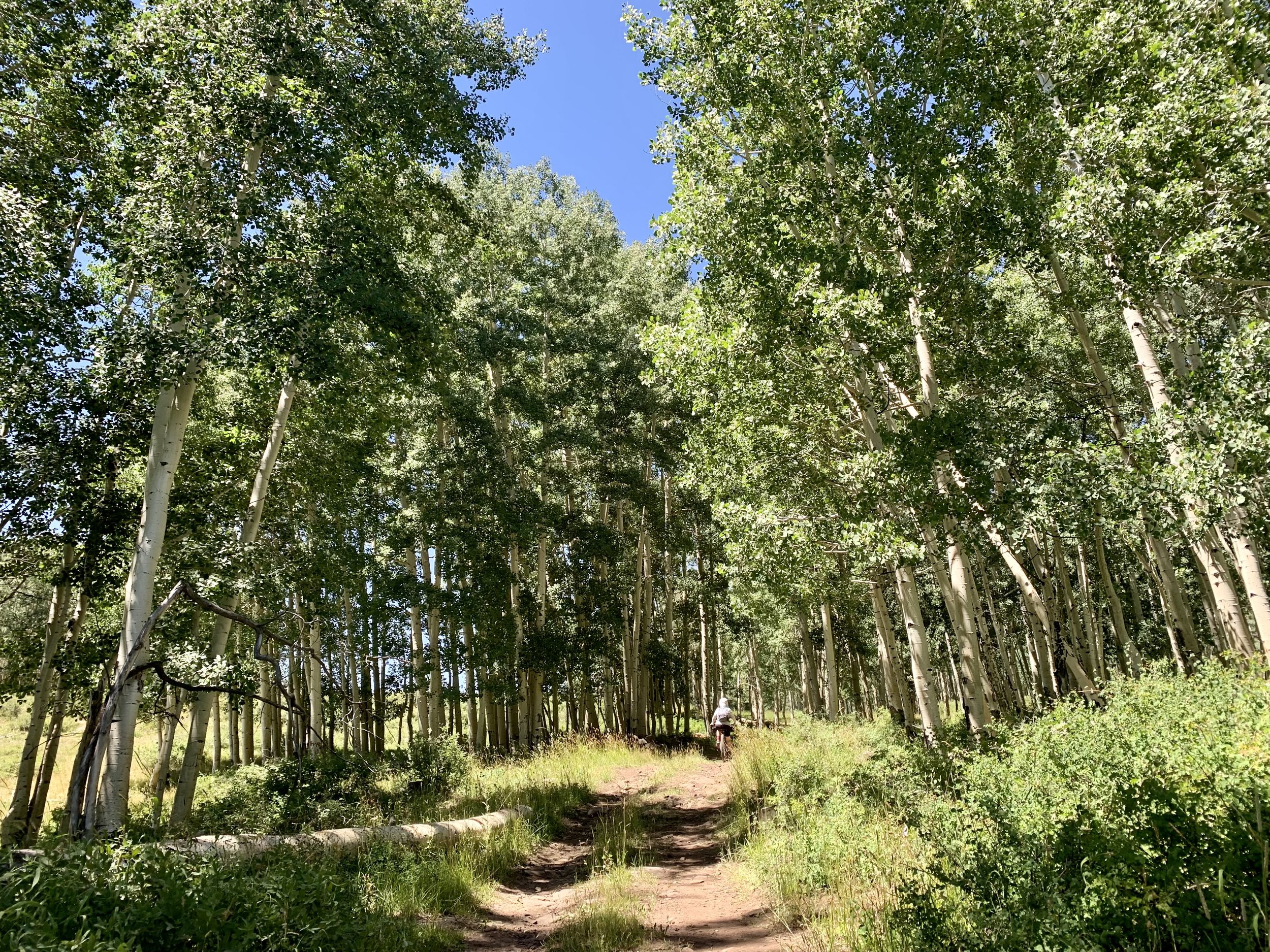 Sarah is wearing good aspen camouflage