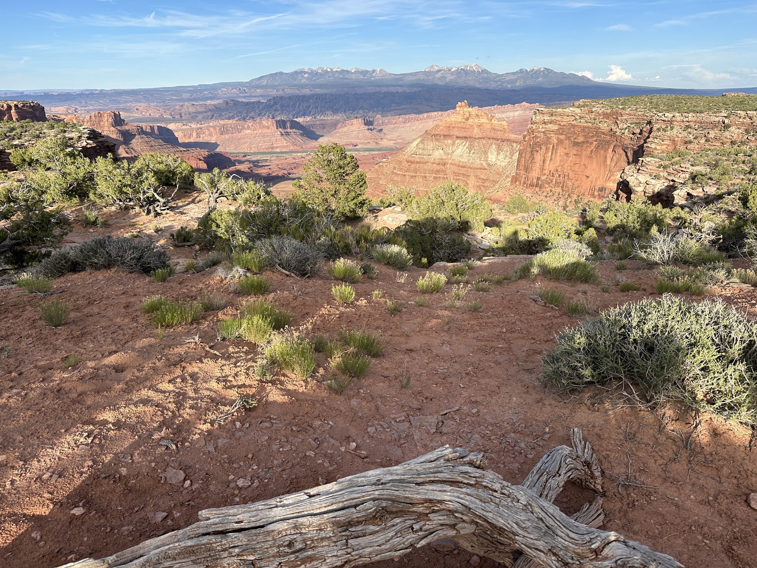IMG_2210.jpeg