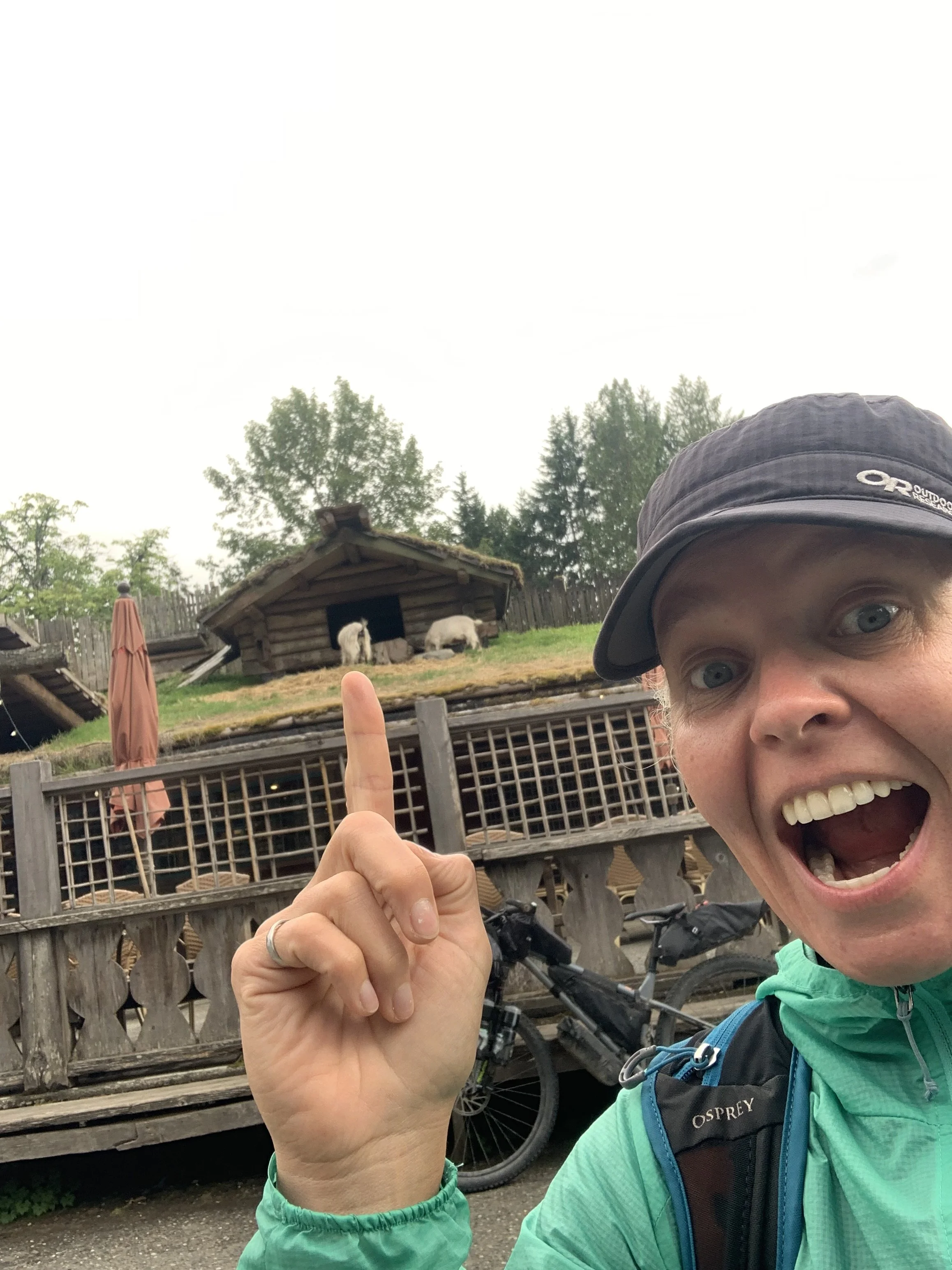Goats on the Roof