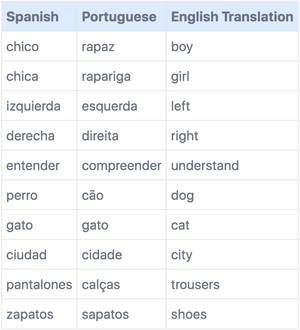 Portuguese vs Spanish: Which Is Really Better? The Surprising Answer