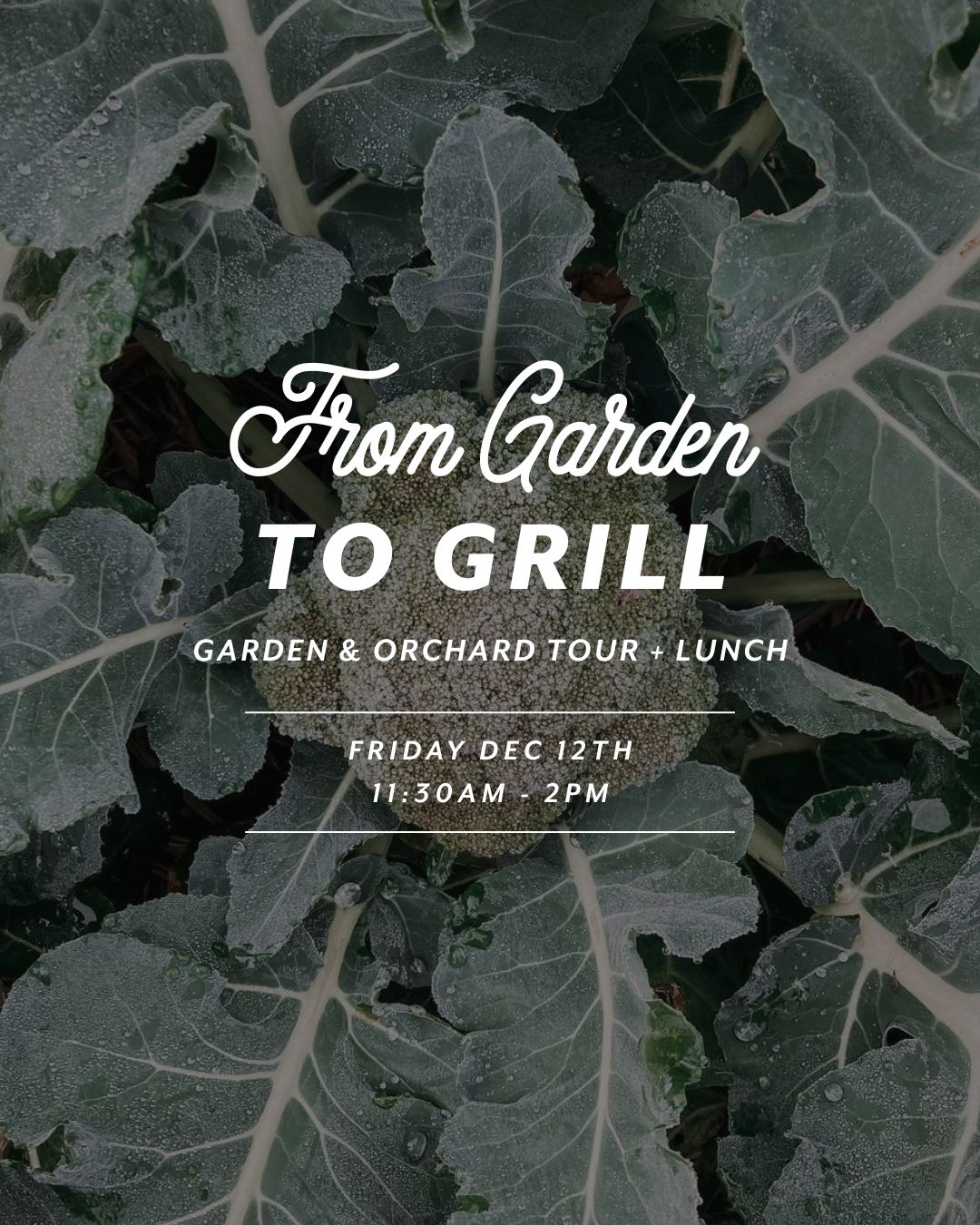 From Garden to Grill — Fri 12th December | 11:30AM - 2:00PM