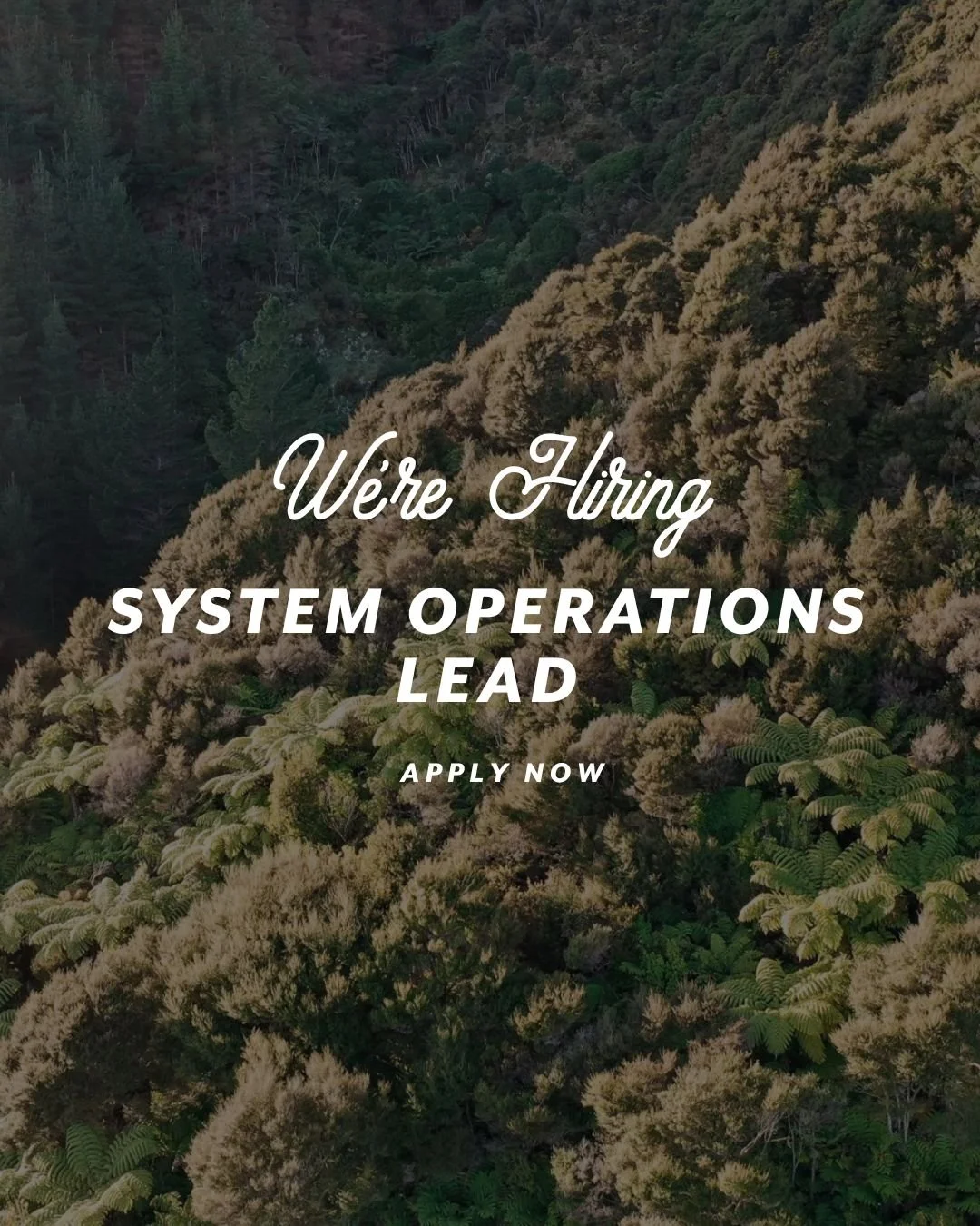 System Operations Lead