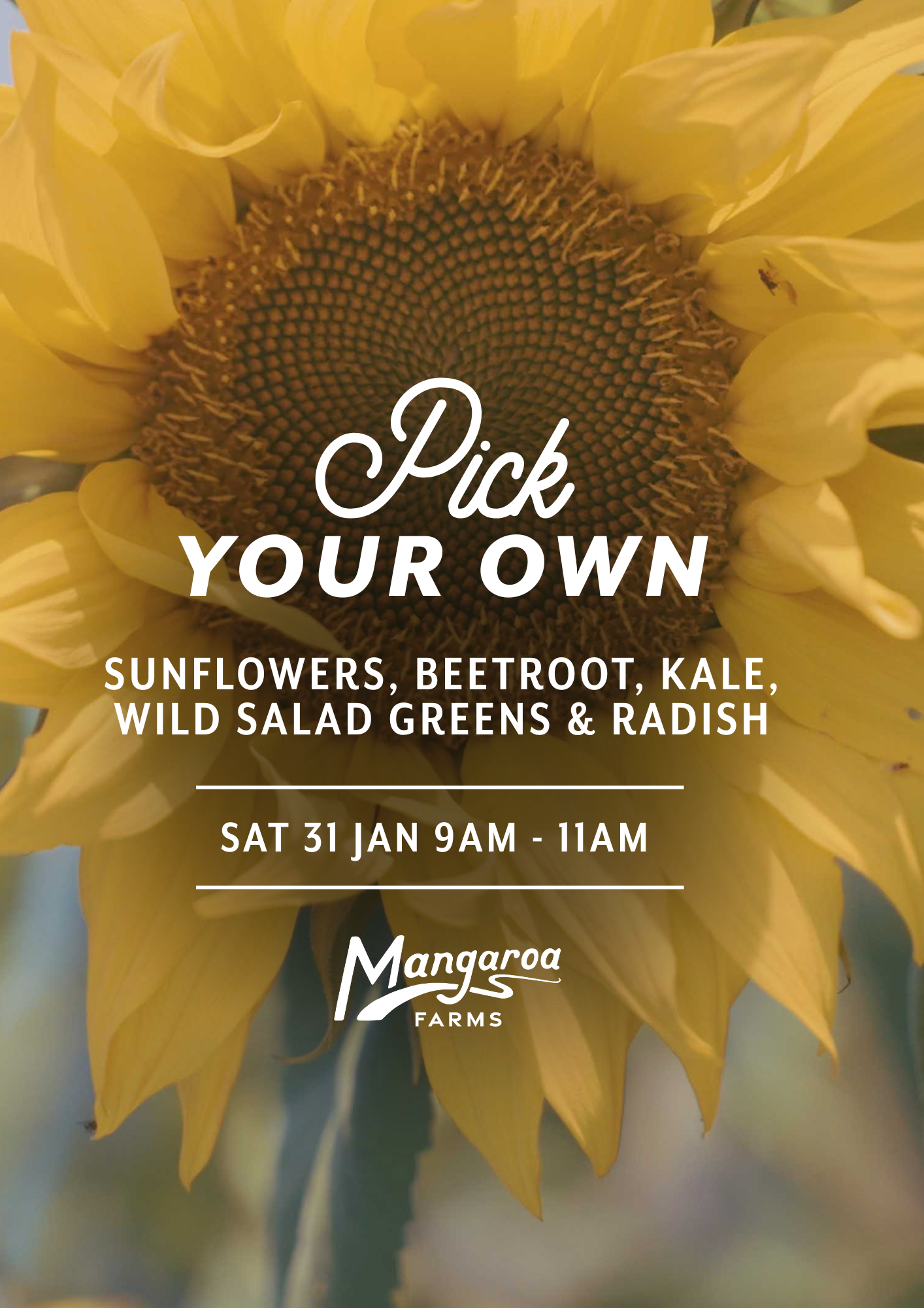 Pick Your Own Veges at Mangaroa Farms — Sat 31st January | 9:00AM - 11:00AM