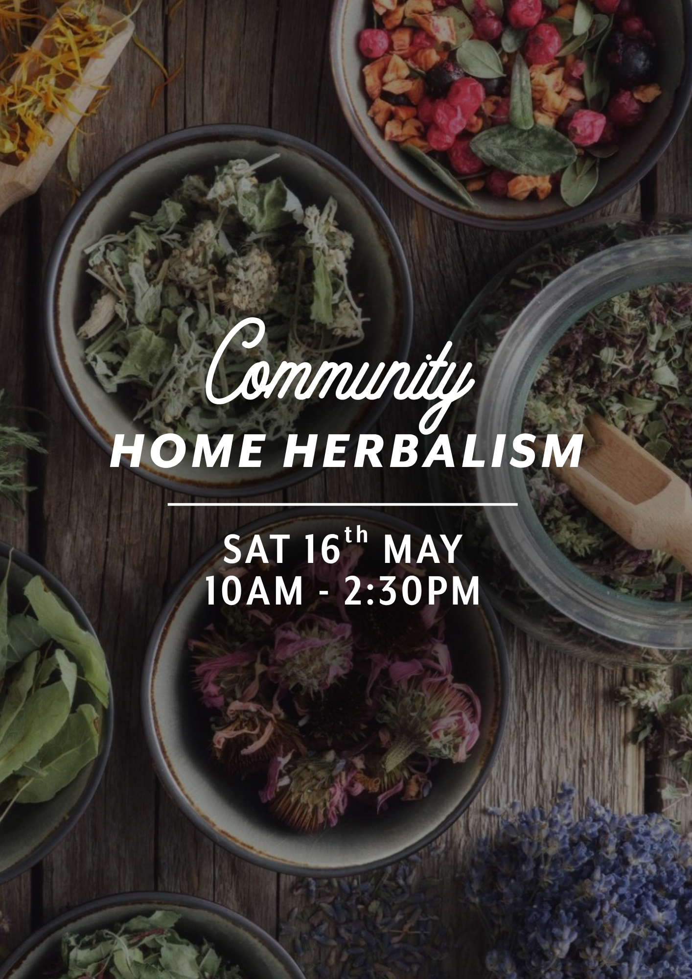 Community Home Herbalism — Sat 16th May | 10:00AM - 2:30PM