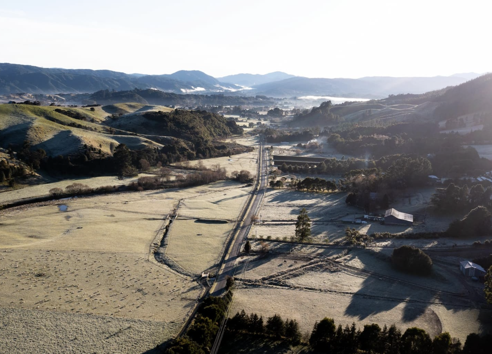 Roots &amp; Renewal - May Newsletter 2026