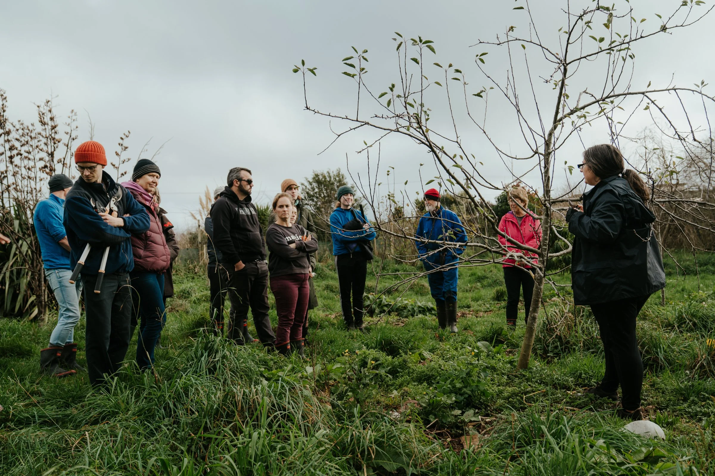 Why our Farm Loop is becoming edible (and how you can help)