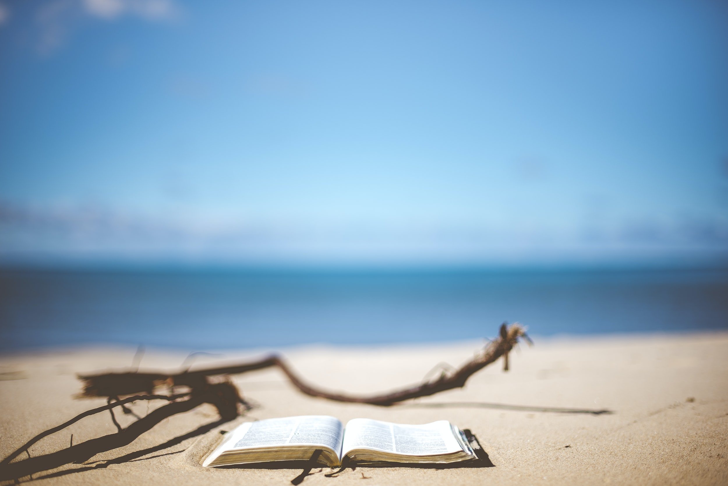A person reading a book on the beach. Read reading open book. - PICRYL -  Public Domain Media Search Engine Public Domain Image