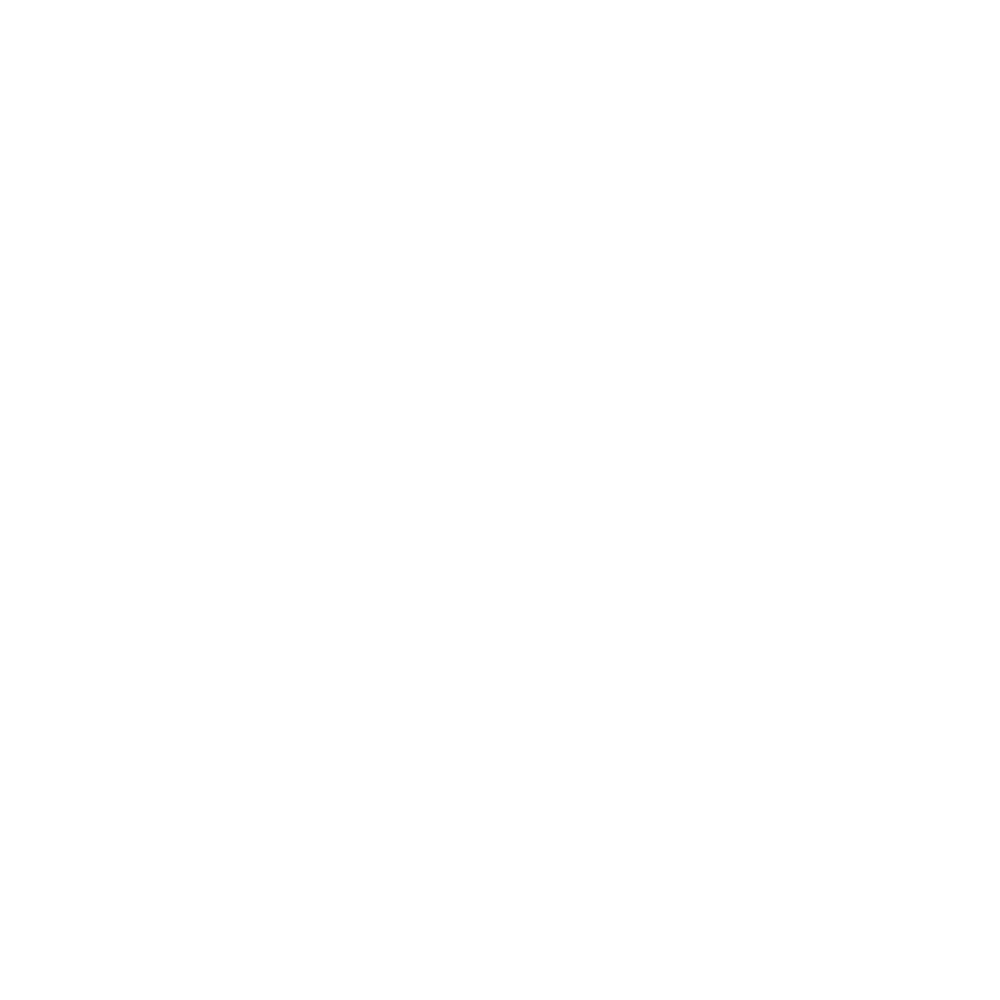 Serene Divorce Planning