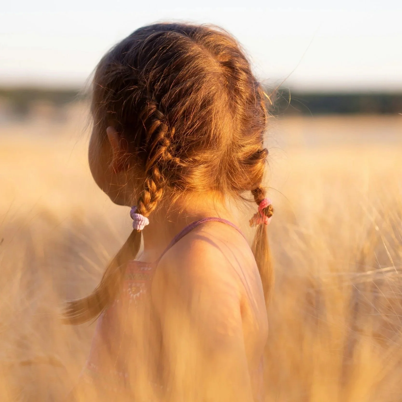 Can a Stepchild Contest a Will in Queensland?&nbsp;