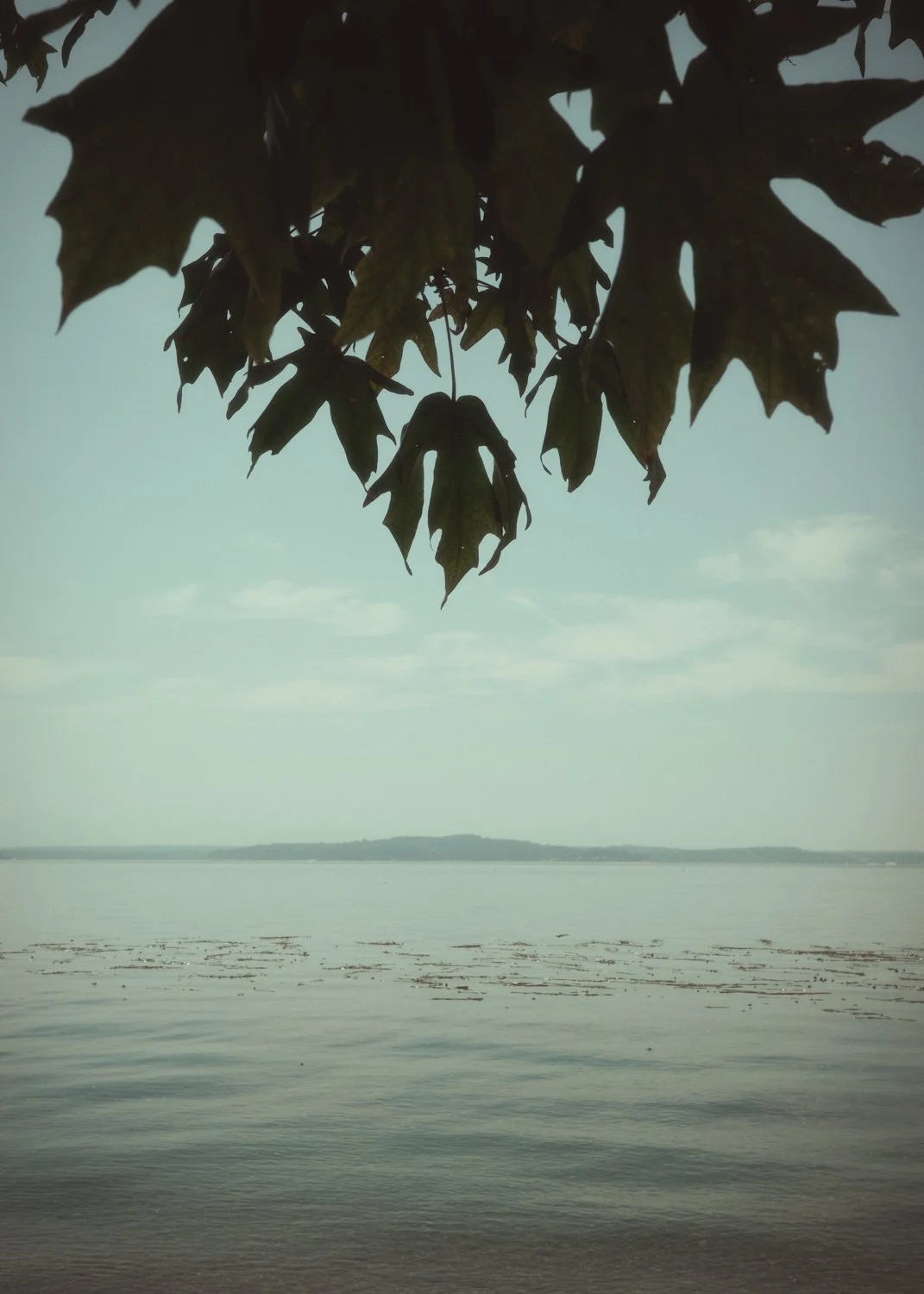 _R000371.jpg