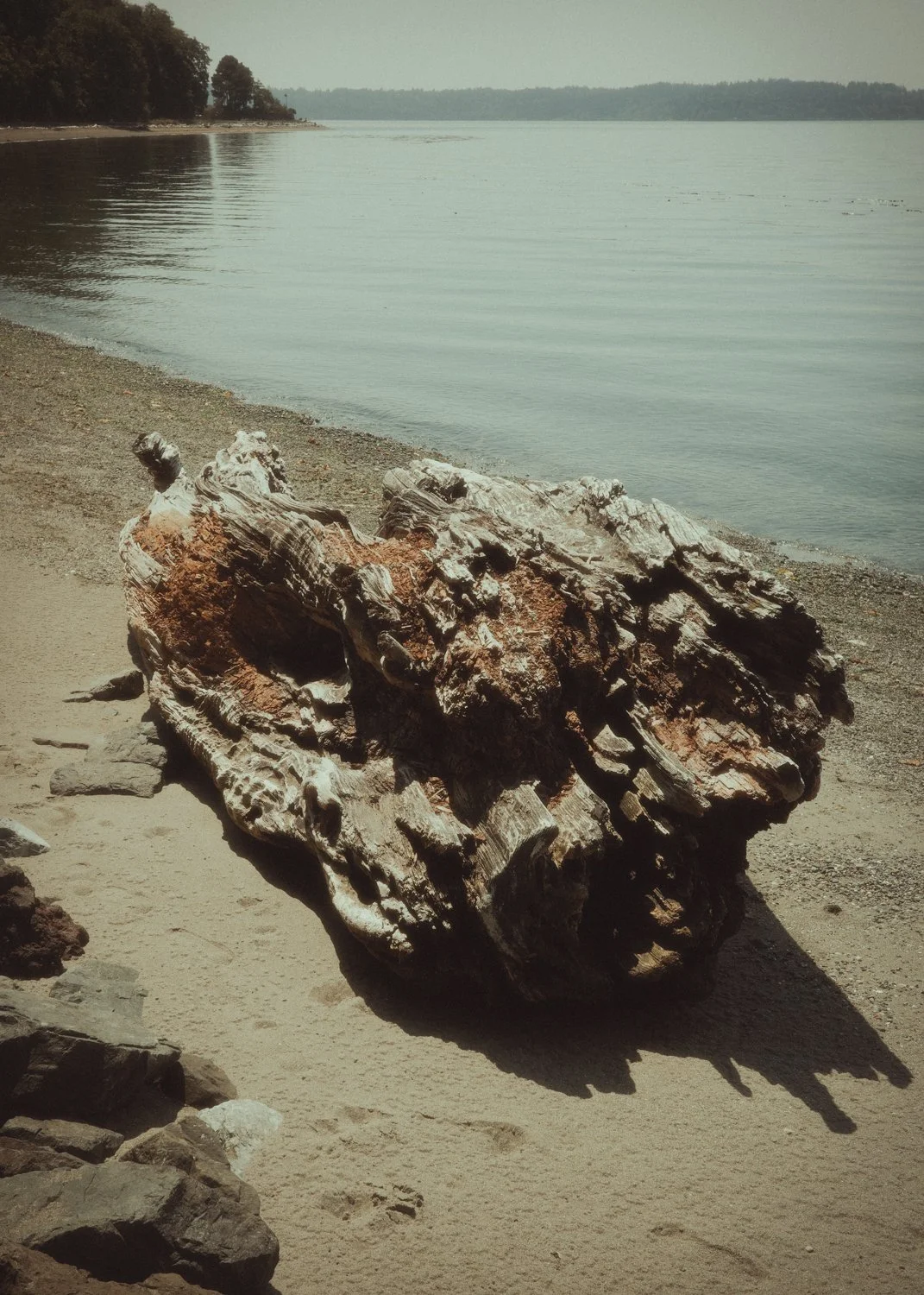 _R000361.jpg