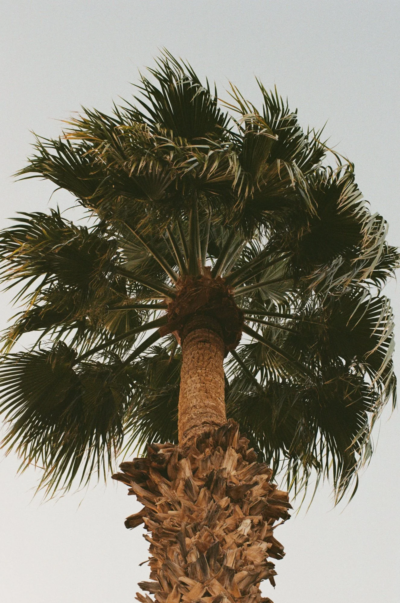 2025-Palm-Desert-27.jpg