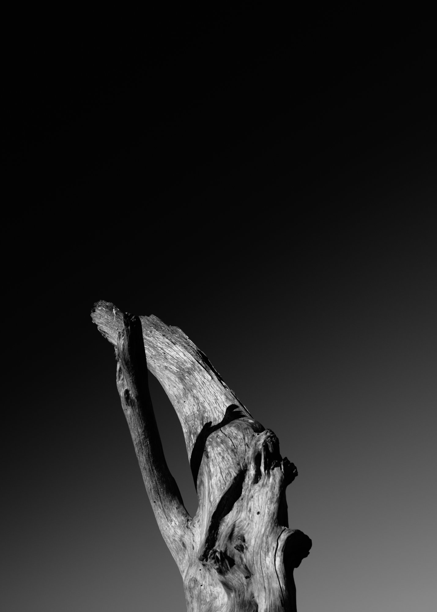 exterior-still-light-01.jpg
