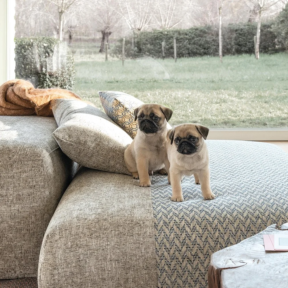 HF_Carousel_Mei and Kimi_Jun2024_Slide0.jpg