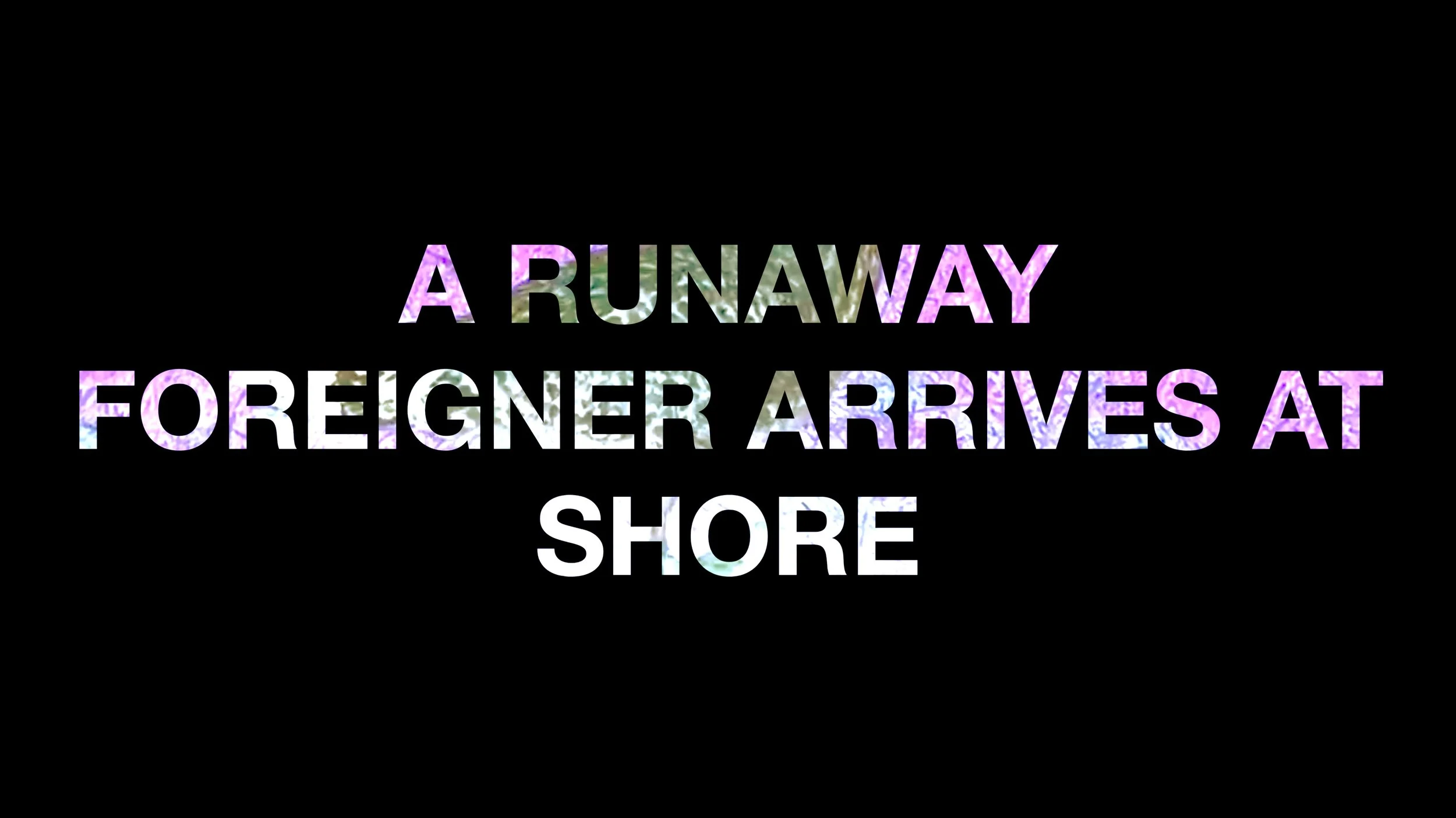 Irineu Destourelles and Natalia Palombo In Conversation