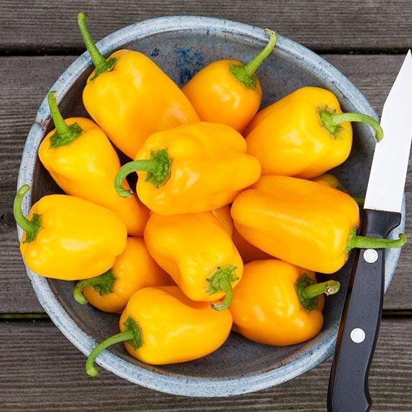 Capsicum Yellow Picnic