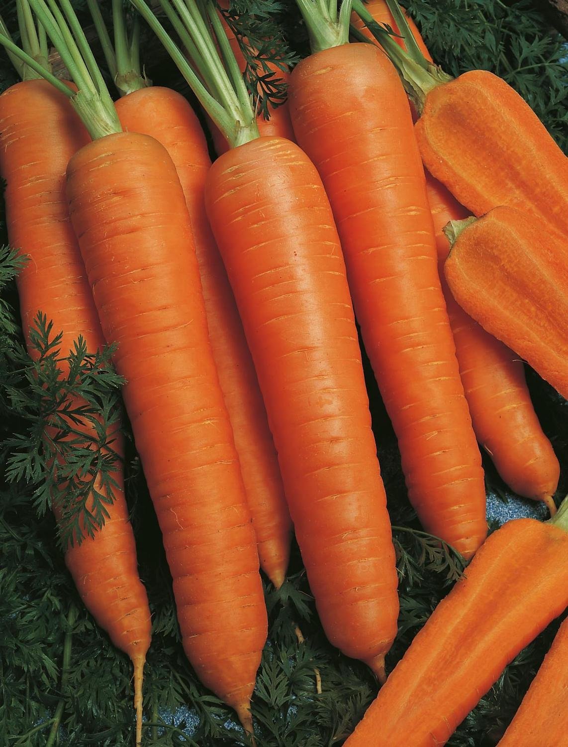 Carrot Napoli F1