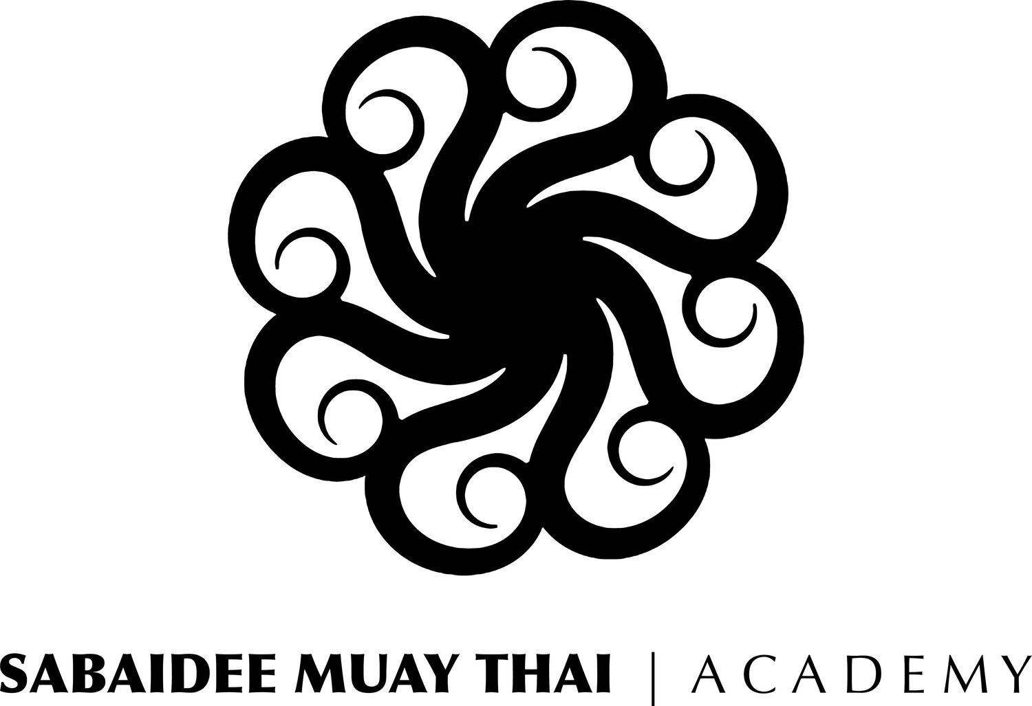 Sabaidee Muay Thai Academy