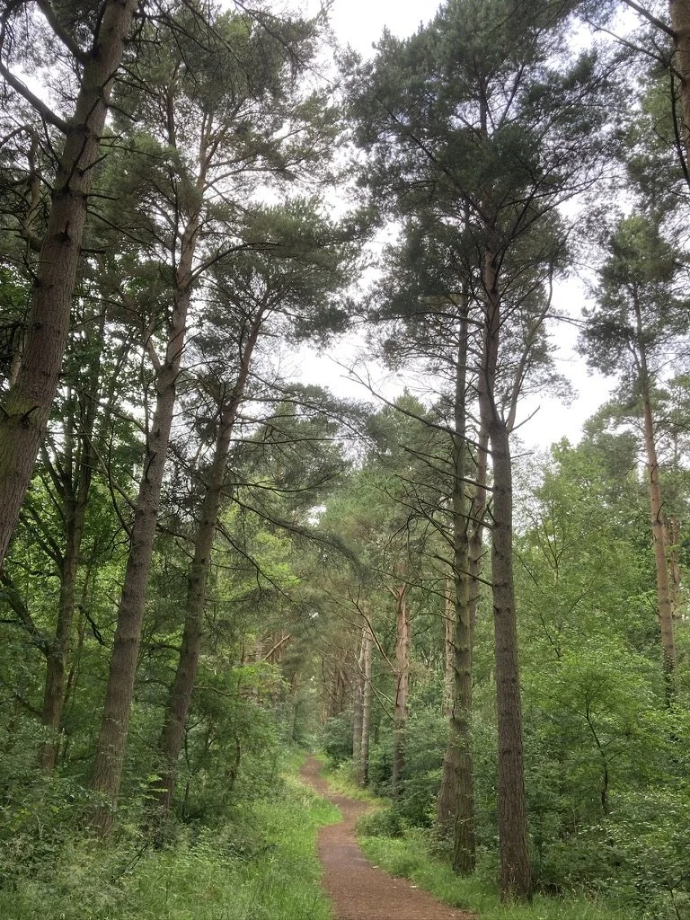 49EC2D44-FB6C-4B95-A369-ADD125E7F7D4_1_105_c - Jean Nairn.jpeg