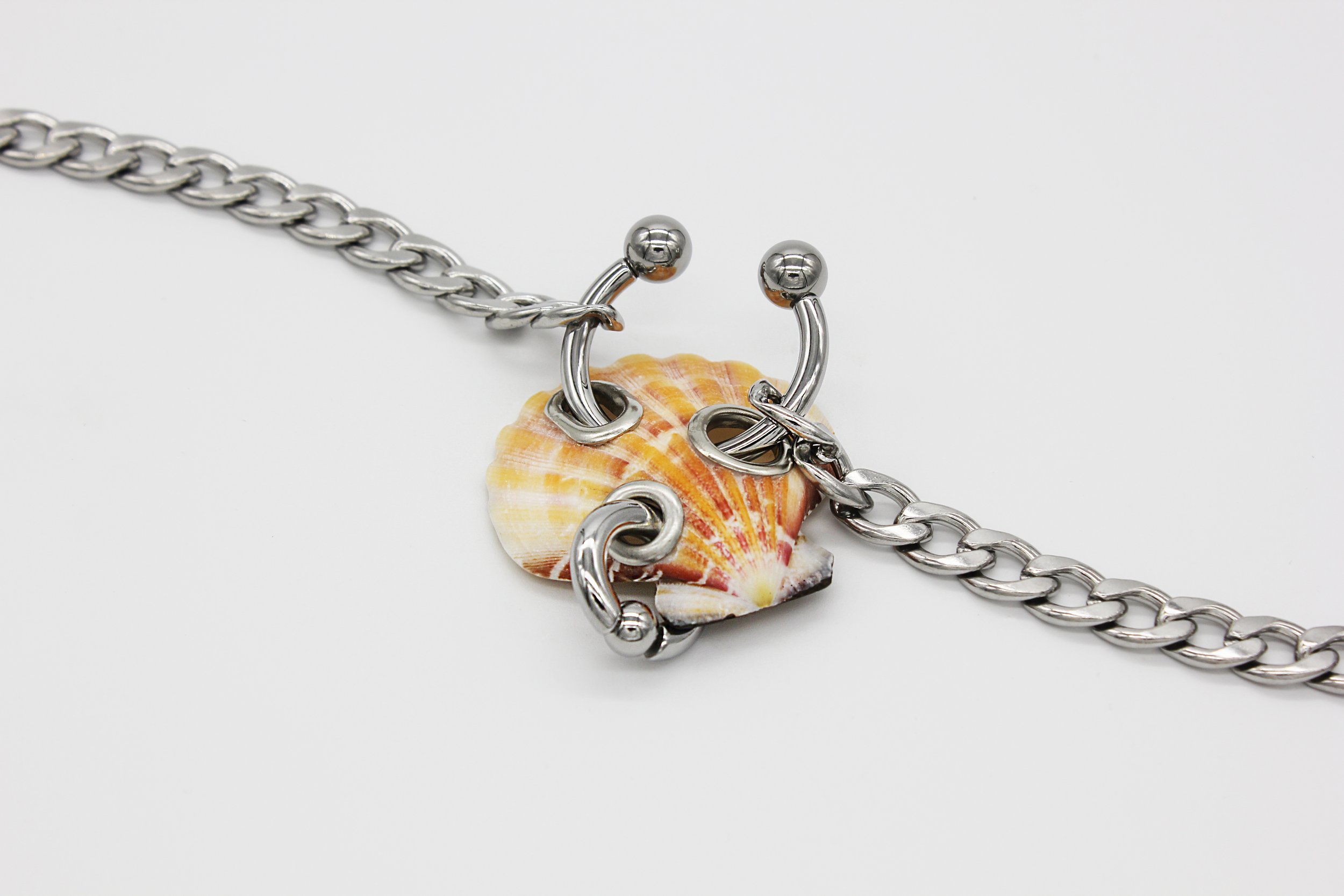 PiercedShell.jpg