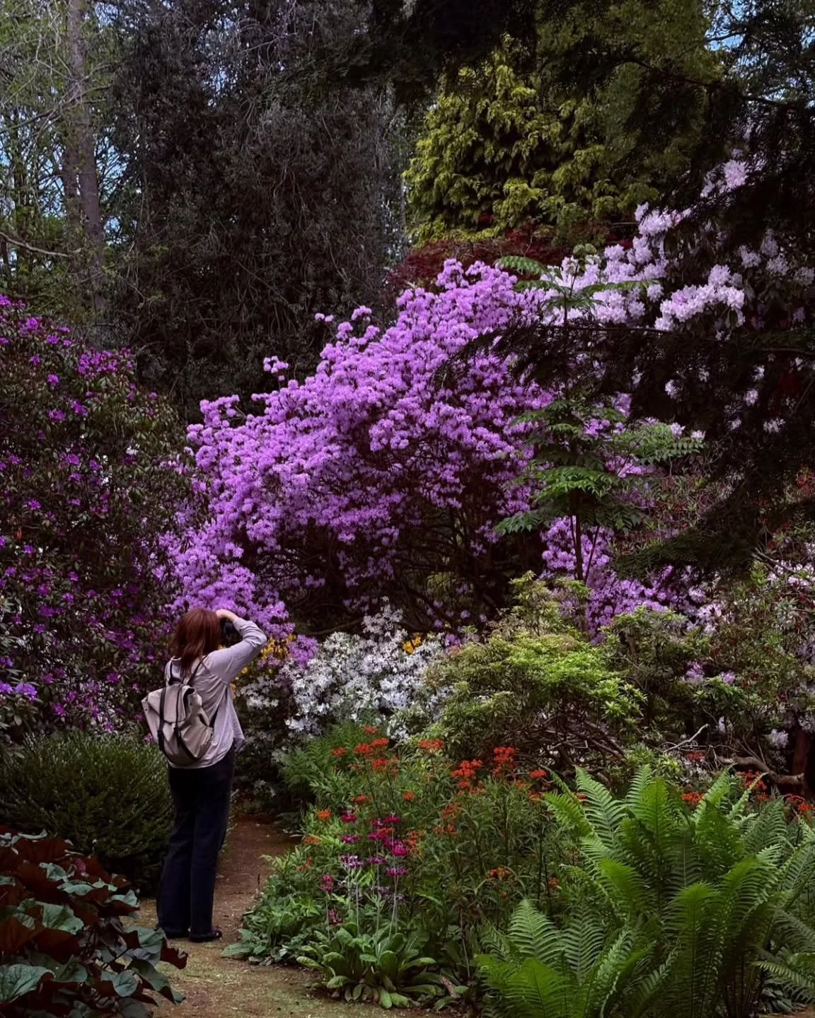 Inspiration @doddingtonplacegardens this week 🌸🌿