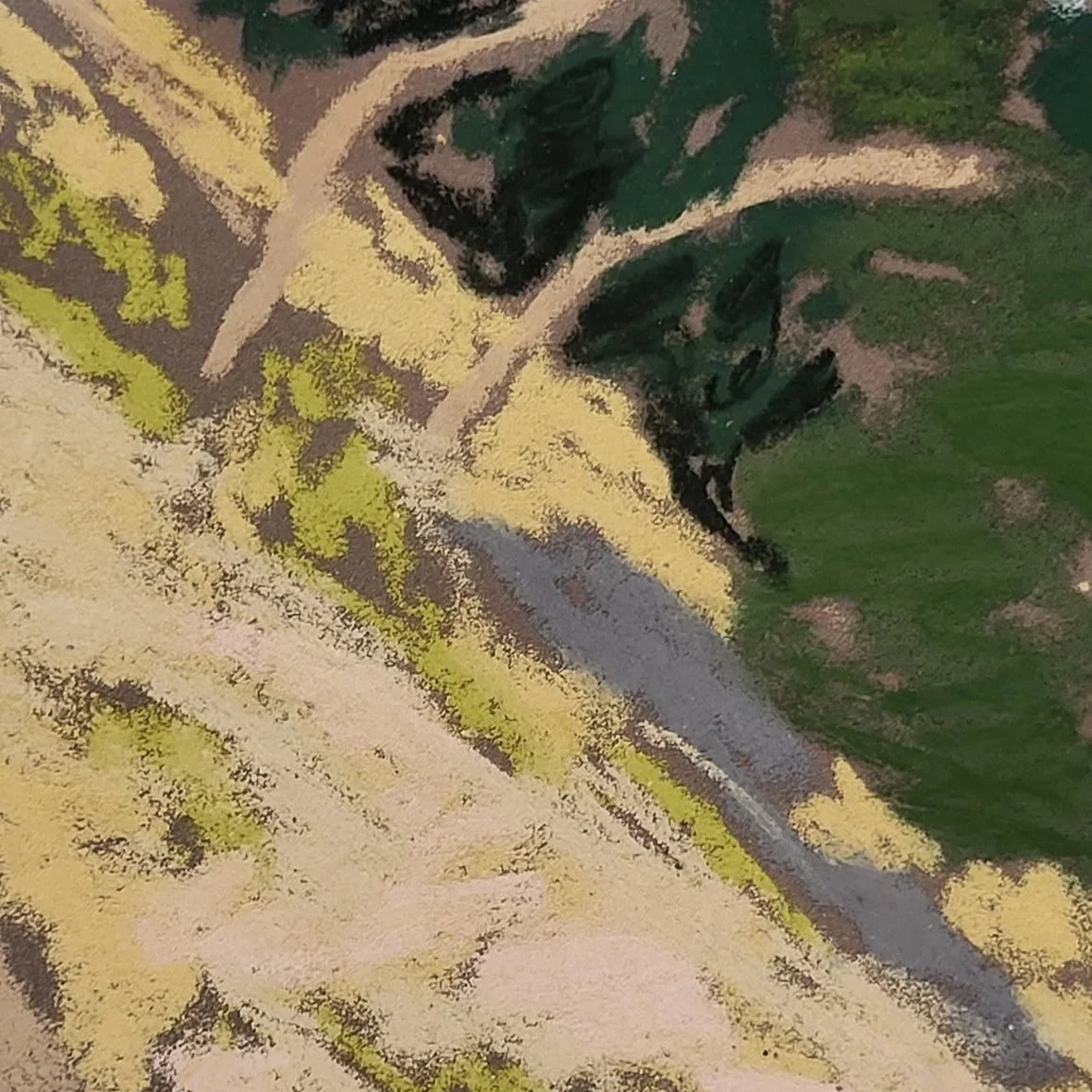 1000087761.jpg