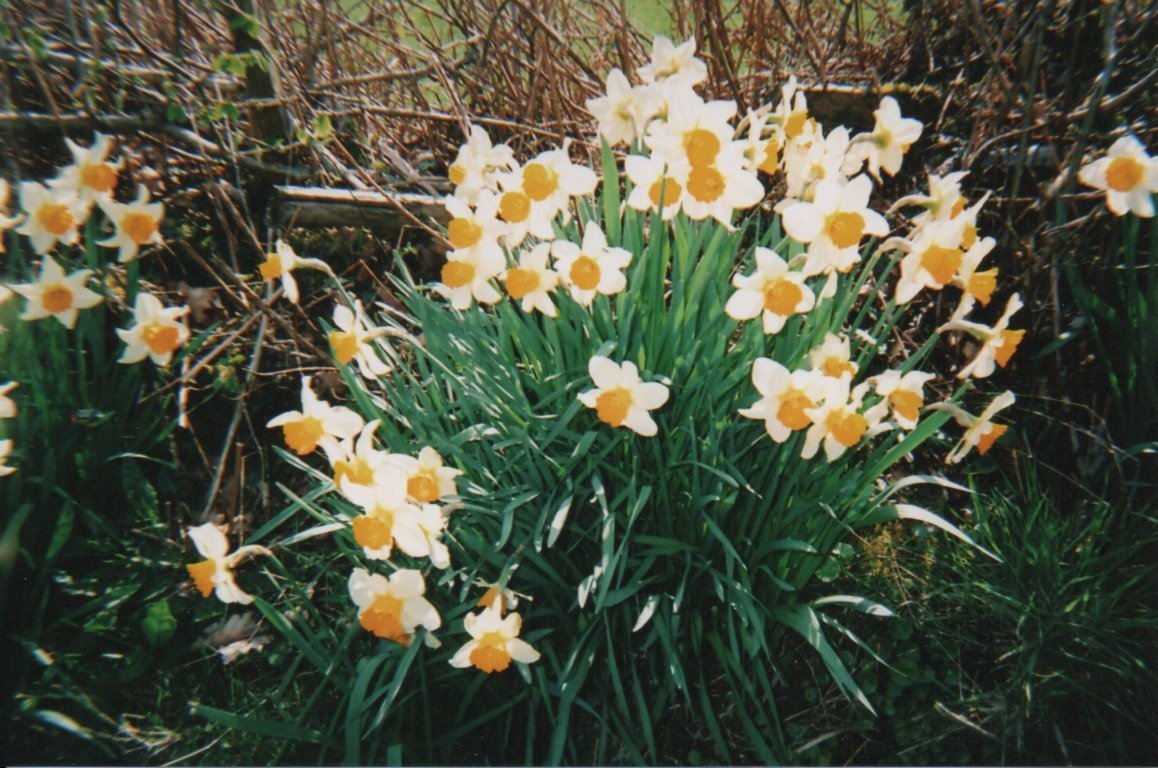 Ffordd Sain- Cardiff _ Brecon Beacons0005.jpg