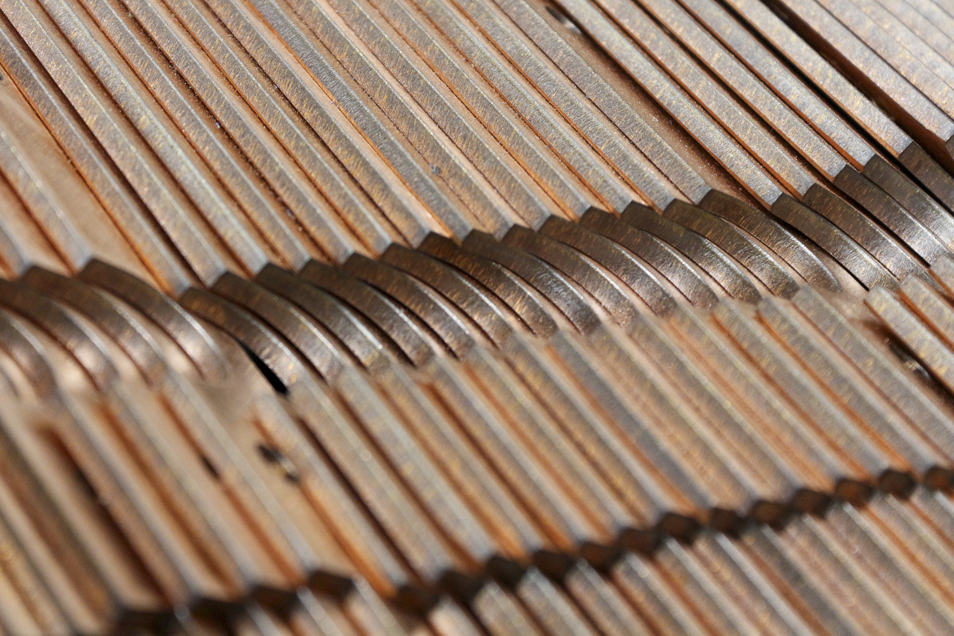 Close-up view of multiple copper pennies arranged in rows.
