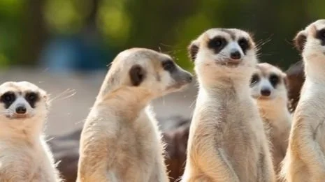 L’équipe aussi a besoin d’intimité