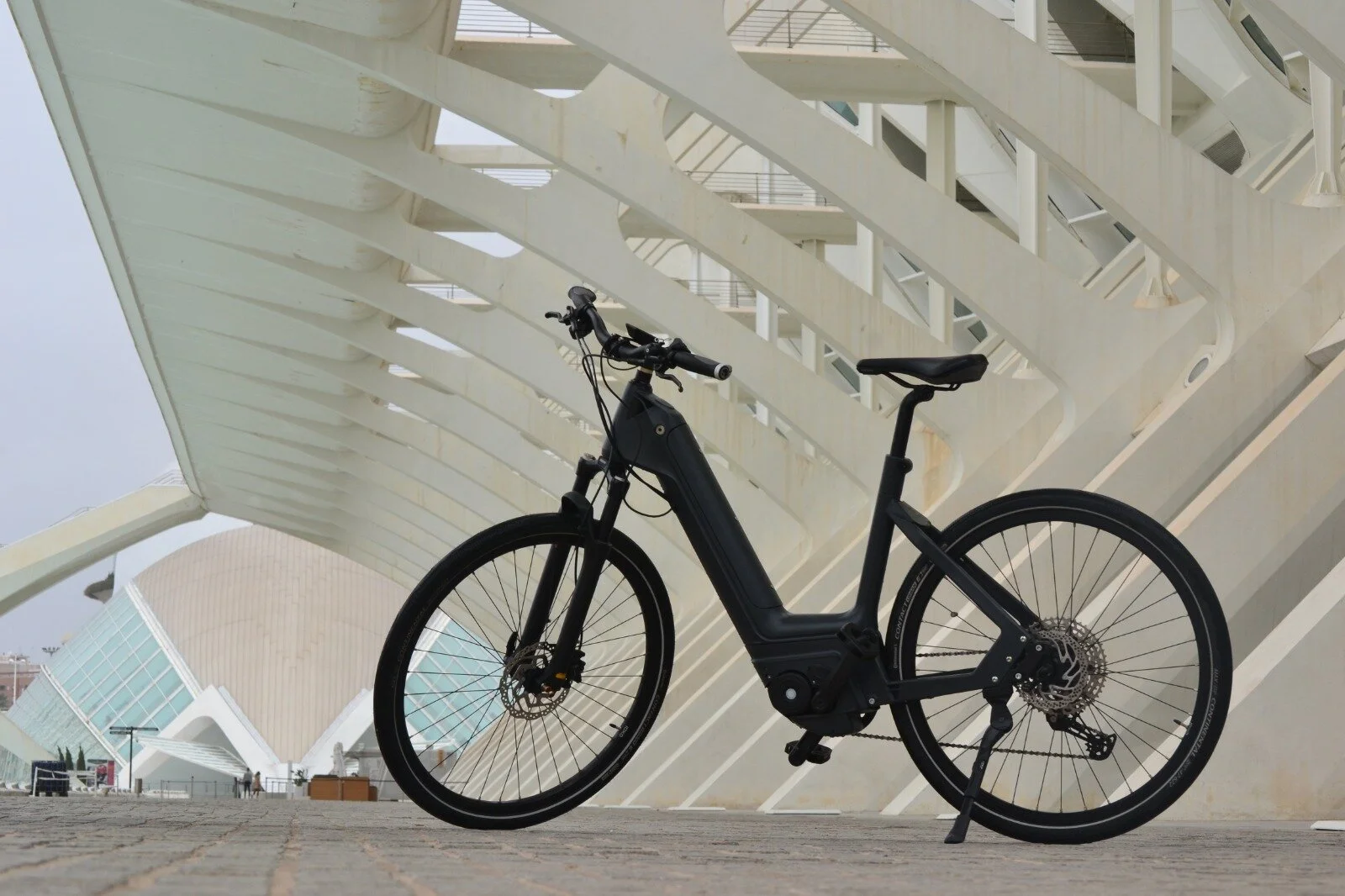 PHOTO-2021-02-21-21-26-59 3.jpg