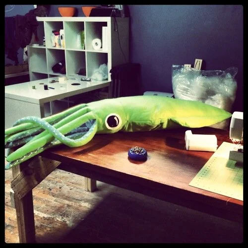 Birds, Garlic, and a Squid