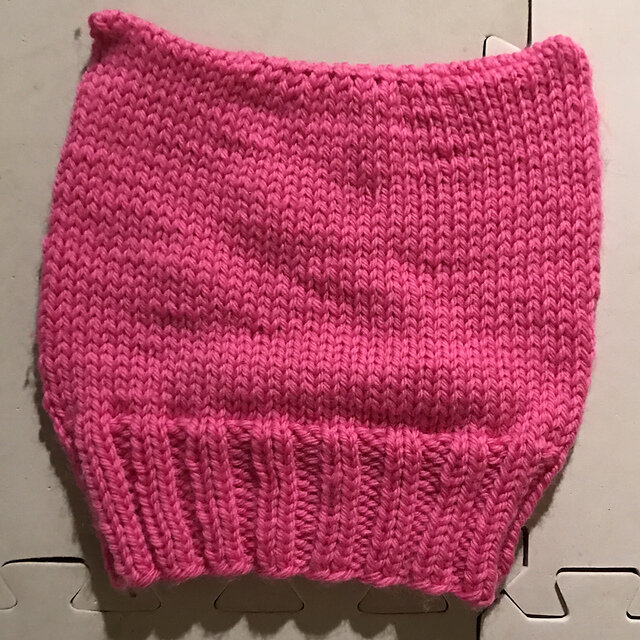 FO: A Chunky Pussy Hat