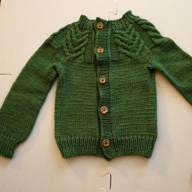 FO: Antler Cardigan