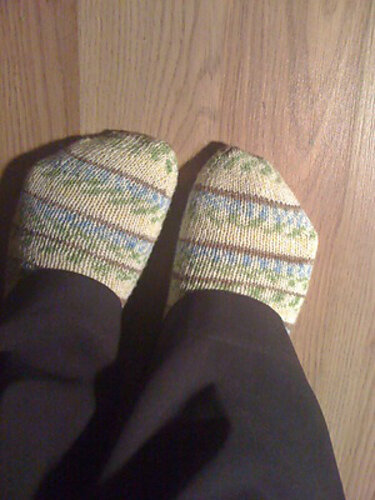 FO: Fleege’s Toe Up Socks
